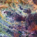 What is the global climate report for June 2024