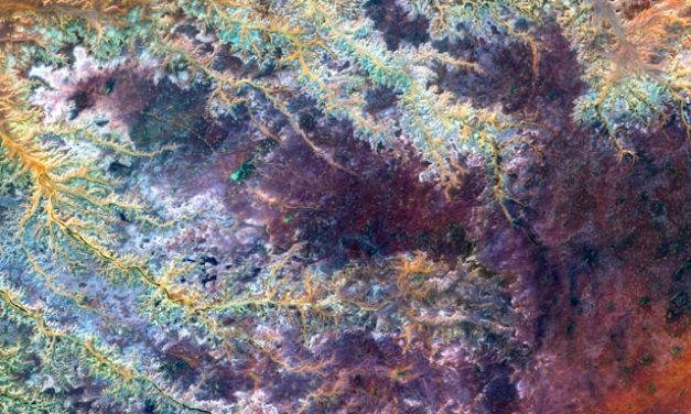 What is the global climate report for June 2024